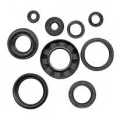 Black OEM Hydraulic Shaft NBR Rubber Double Lips Tc Oil Seal